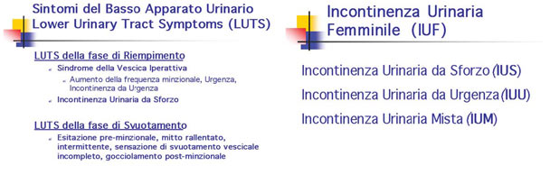 Sintomi basso apparato urinario - Incontinenza urinaria